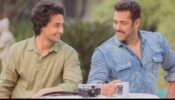 Antim Special Update: Salman Khan reveals ‘birthday’ plans, celebrations to happen early in November for THIS reason