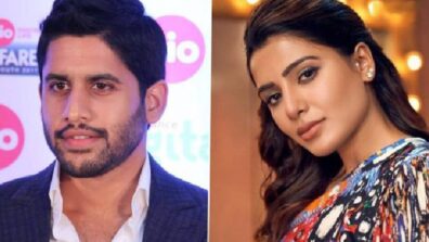 Naga Chaitanya & Samantha’s Separation Was Inevitable