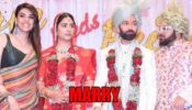 Bade Achhe Lagte Hain 2 spoiler alert: Ram and Priya to MARRY