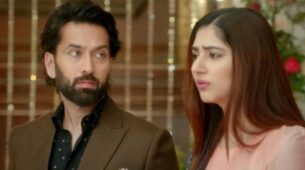 Bade Achhe Lagte Hain 2 written update S02 Ep37 19th October 2021: Bonding between Ram and Priya