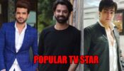 Karan Kundrra VS Barun Sobti VS Mohsin Khan: Most popular TV star ever? (FAN BATTLE)