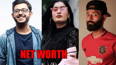 Be Younick, Niharika NM, CarryMinati: Know their net worth