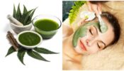 Benefits Of Using Neem: Here Are Some Reasons To Include Neem In Your Skincare And Haircare Routine