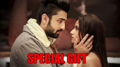 Bhagya Lakshmi spoiler alert: Rishi gives a special gift to Malishka