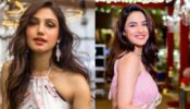 Bigg Boss Fame Donal Bisht Has Once Replaced Jasmin Bhasin For This Show: Know Here
