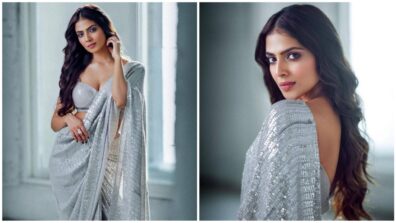 Bold And Beautiful! Malavika Mohanan Looks Ethereal In A Sparkly Sequin Saree