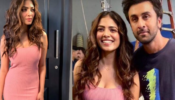Did You Know Malavika Mohanan Had Shared Screen Space With This Bollywood Star: Know More Here