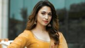 Did You Know Tamannaah Bhatia Has Decided To Never Wear A Bikini On Screen? See What She Has To Say