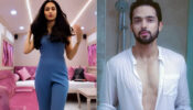 Erica Fernandes sets the internet on fire with her hot transformation, Parth Samthaan quits social media