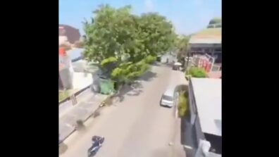 Fantastic Trip: A Parrot Grabs A Person’s Phone And Flies High Giving A Drone View; Leaves Netizens Amused; Watch Here