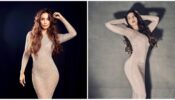 Hotties! Nora Fatehi Vs Malaika Arora: Which Diva Nailed The Shimmery Sheer Bodycon Dress Better?
