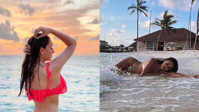 Hotties On The Beach: Hansika Motwani slays the red bikini pose with confidence, Disha Patani does it like a tired and exhausted mermaid