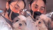How Adorable: Ashnoor Kaur takes her ‘fur friend’ for grooming session, see viral videos