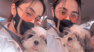 How Adorable: Ashnoor Kaur takes her ‘fur friend’ for grooming session, see viral videos
