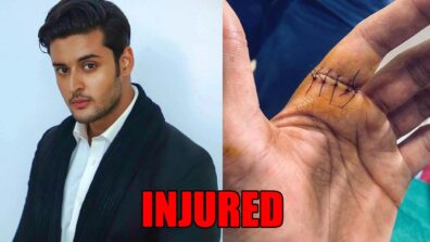 Inside Story: OMG! Meet actor Shagun Pandey gets injured