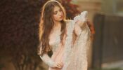 It’s The Pawri Girl! 3 Times Pakistani Sensation Dananeer Mobeen Found Her Love In Sarees; See Pics