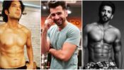 Karan Kundra To Jay Bhanushali And Vishal Kotian: Fitness Secret Of Bigg Boss Macho Men Revealed
