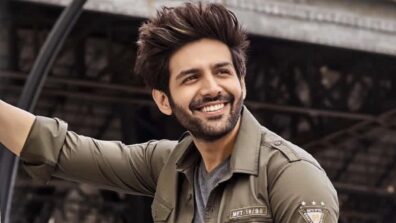 Kartik Aaryan All Set For First South Indian Remake Of  His Career