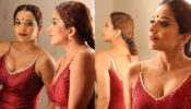 It’s Burning Hot: Bhojpuri hottie Monalisa raises the oomph factor in a spicy red hot deep-neck outfit, fans can’t stop crushing