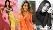KKK 11 Hotties: Shweta Tiwari, Nikki Tamboli and Sana Makbul are oomph queens in their hot photos, Arjun Bijlani reacts