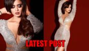 Ladies and gentlemen! Hold your breath! Shewta Tiwari’s latest post will make you feel the heat