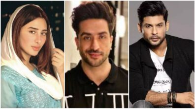 Mahira Sharma, Aly Goni To Sidharth Shukla: Times When These Contestants Passed Nastiest Comments On Salman Khan’s Bigg Boss