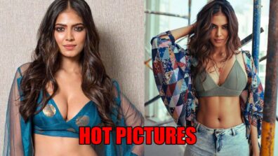 Malavika Mohanan Looks Super Hot In This Pics And We Can’t Stop Crushing On Them