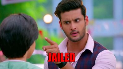 Meet spoiler alert: OMG! Meet Ahlawat to get jailed