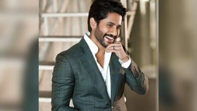 Naga Chaitanya Speaks On  Joining  His Brother Akhil For Pre-Release Event