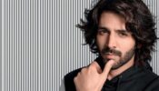 Netflix Plans Kartik Aaryan’s Diwali Dhamaka?