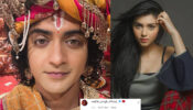 One life, make it count: Sumedh Mudgalkar shares special heartfelt message for a special reason, Mallika Singh is all hearts