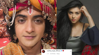 One life, make it count: Sumedh Mudgalkar shares special heartfelt message for a special reason, Mallika Singh is all hearts