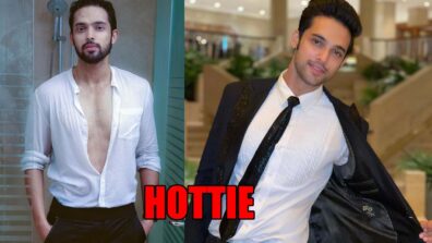 Parth Samthaan is a dude and a hottie in the true sense: Yay/nay?