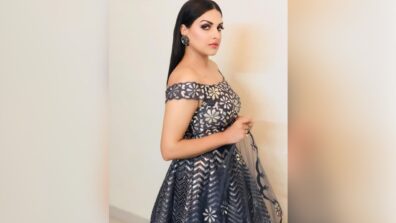 Read Now: Himanshi Khurana Bashes Fan As She Answers Why She Works With Transgenders And It Is Winning Our Hearts