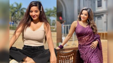 Sarees To Short Dresses: Times When Monalisa Left Us Gasping For Breath In Her Hot Outfits