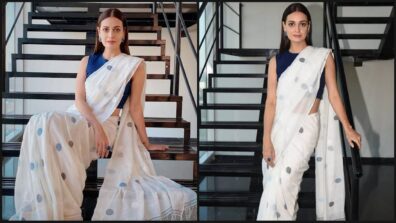 See Pics: Handloom Is The Key To Steal Any Show And Here Is Dia Mirza Proving It To You