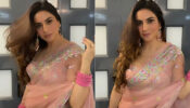 Sensuous Back: Shraddha Arya raises the hotness quotient in a transparent saree, fans can’t stop drooling over her hot back