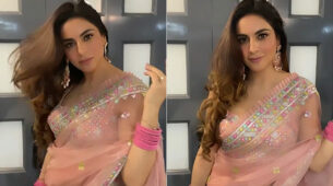 Sensuous Back: Shraddha Arya raises the hotness quotient in a transparent saree, fans can’t stop drooling over her hot back