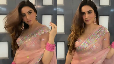 Sensuous Back: Shraddha Arya raises the hotness quotient in a transparent saree, fans can’t stop drooling over her hot back