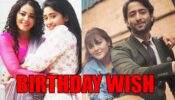 Shaheer Sheikh and Shivangi Joshi share birthday wishes for Ziddi Dil Maane Na actress Kaveri Priyam, check now