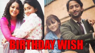 Shaheer Sheikh and Shivangi Joshi share birthday wishes for Ziddi Dil Maane Na actress Kaveri Priyam, check now