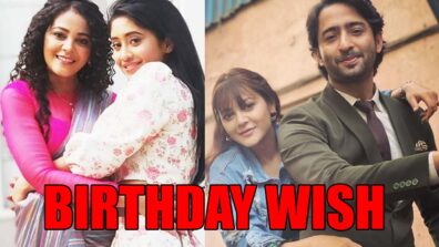 Shaheer Sheikh and Shivangi Joshi share birthday wishes for Ziddi Dil Maane Na actress Kaveri Priyam, check now