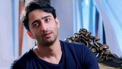 Big Update: Shaheer Sheikh to play male lead in Rajan Shahi’s next