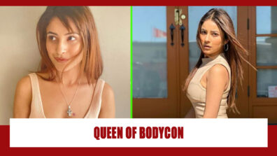 Shehnaaz Gill is the queen of bodycon: Check out