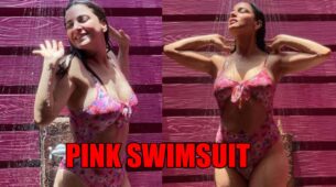 Shraddha Arya turns up the heat in pink swimsuit, let your eyes be blessed with this diva oozing oomph in this picture