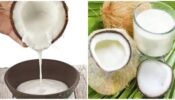 Soft And Healthy Skin: Check Out Beauty Benefits Of Coconut Milk And Get The Natural Glow