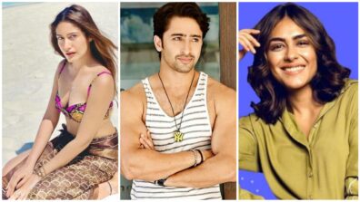 Surbhi Chandna, Shaheer Sheikh To Mrunal Thakur: 7 TV Celebs Who Rejected Famous Bollywood Films; Read Here