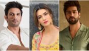 Sushant Singh Rajput To Vicky Kaushal:  Bollywood Celebs Who Also Studied Engineering