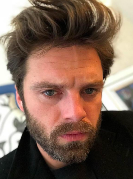 Take A Look! Selfies Of Sebastian Stan That Will Surely Make You Go Gaga Over Him - 2