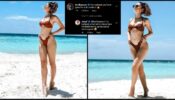 The ‘Freddy’ Bonding: Alaya F sets internet on fire with her burning hot bikini ‘photodump’, ‘impressed’ co-star Kartik Aaryan has an interesting reaction